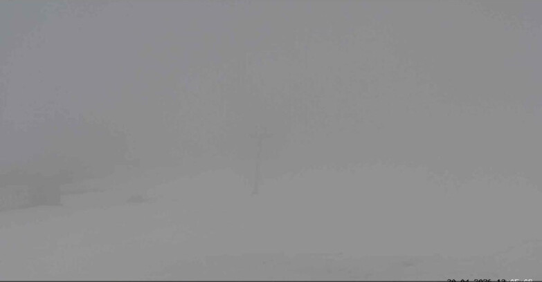 Webcam Сан-Мартино-ди-Кастроцца - Пассо-Ролле - Tognola Park