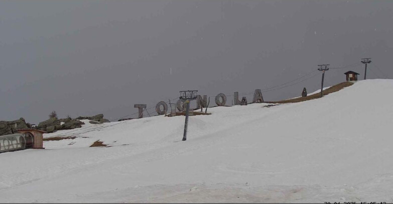 Webcam Сан-Мартино-ди-Кастроцца - Пассо-Ролле - Tognola Park