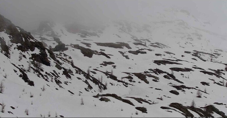 Webcam Сан-Мартино-ди-Кастроцца - Пассо-Ролле - Sentiero delle Marmotte