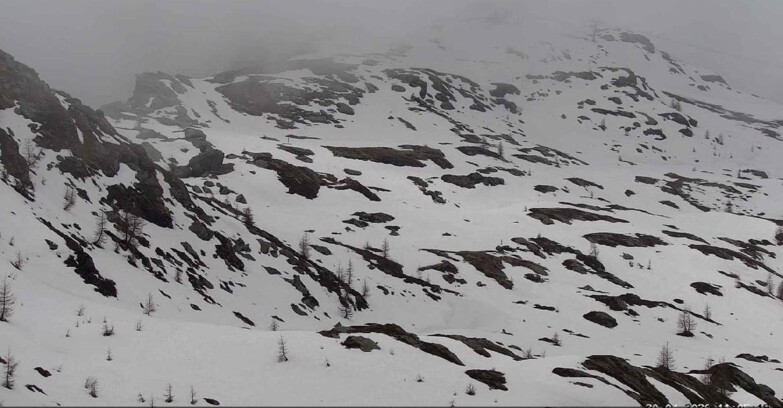 Webcam Сан-Мартино-ди-Кастроцца - Пассо-Ролле - Sentiero delle Marmotte