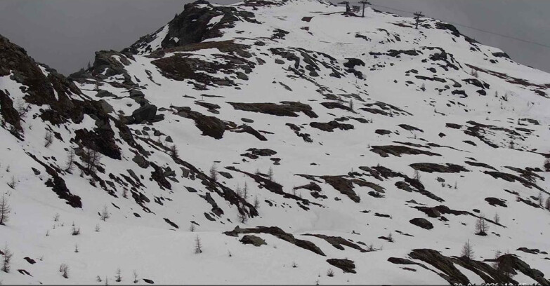 Webcam Сан-Мартино-ди-Кастроцца - Пассо-Ролле - Sentiero delle Marmotte