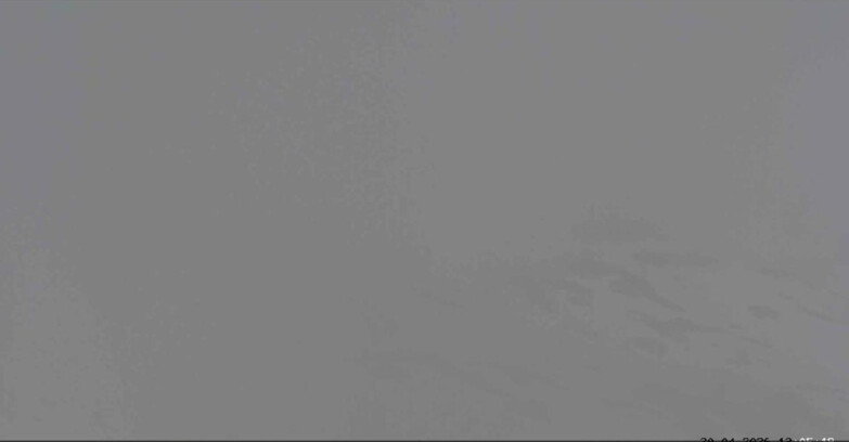 Webcam Сан-Мартино-ди-Кастроцца - Пассо-Ролле - Sentiero delle Marmotte