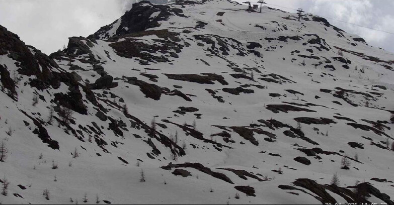 Webcam Сан-Мартино-ди-Кастроцца - Пассо-Ролле - Sentiero delle Marmotte