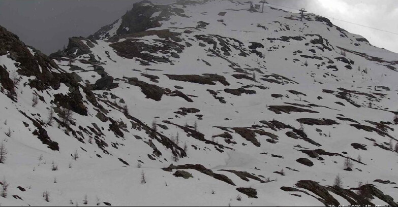 Webcam Сан-Мартино-ди-Кастроцца - Пассо-Ролле - Sentiero delle Marmotte