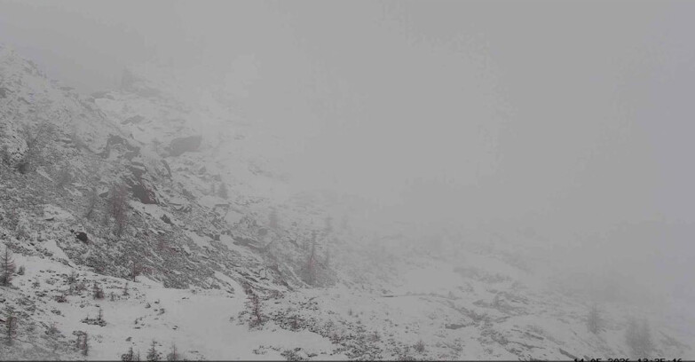 Webcam San Martino di Castrozza - Passo Rolle - Sentiero delle Marmotte