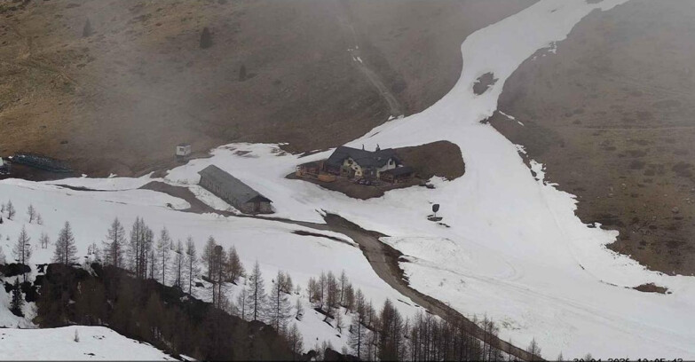 Webcam Сан-Мартино-ди-Кастроцца - Пассо-Ролле - Malga Tognola