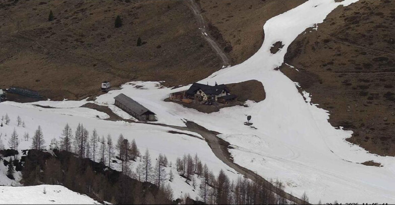 Webcam Сан-Мартино-ди-Кастроцца - Пассо-Ролле - Malga Tognola