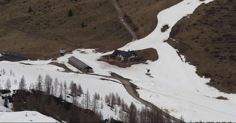 Webcam Сан-Мартино-ди-Кастроцца - Пассо-Ролле - Malga Tognola