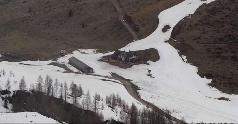 Webcam Сан-Мартино-ди-Кастроцца - Пассо-Ролле - Malga Tognola