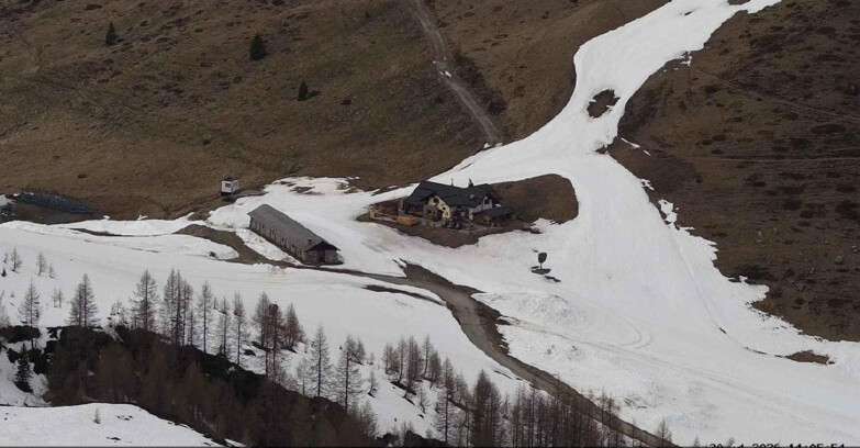 Webcam Сан-Мартино-ди-Кастроцца - Пассо-Ролле - Malga Tognola