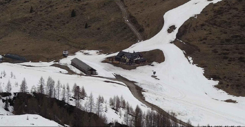 Webcam Сан-Мартино-ди-Кастроцца - Пассо-Ролле - Malga Tognola