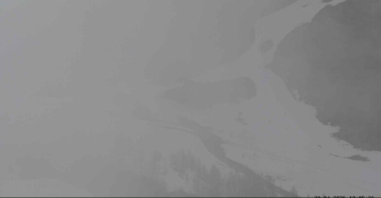 Webcam San Martino di Castrozza - Passo Rolle - Malga Tognola