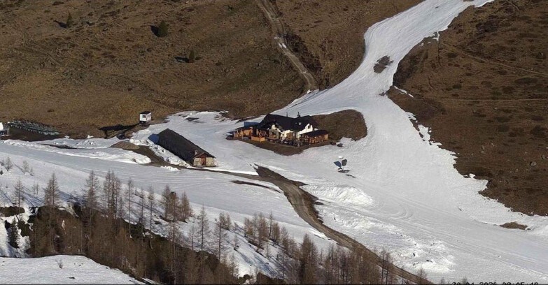 Webcam Сан-Мартино-ди-Кастроцца - Пассо-Ролле - Malga Tognola