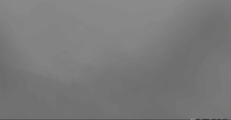 Webcam San Martino di Castrozza - Passo Rolle - Malga Tognola