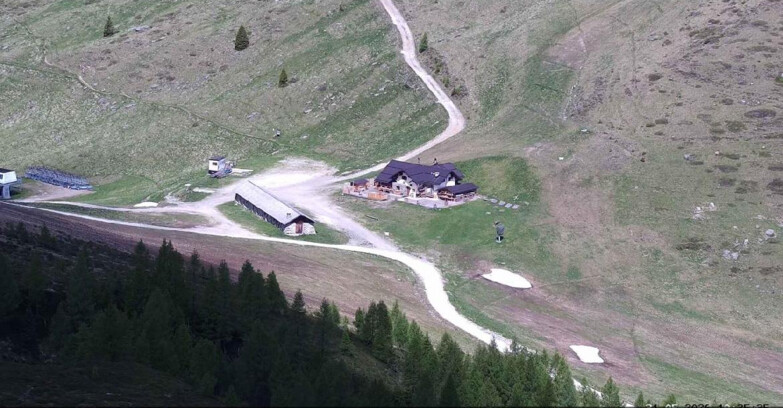 Webcam San Martino di Castrozza - Passo Rolle  - Malga Tognola