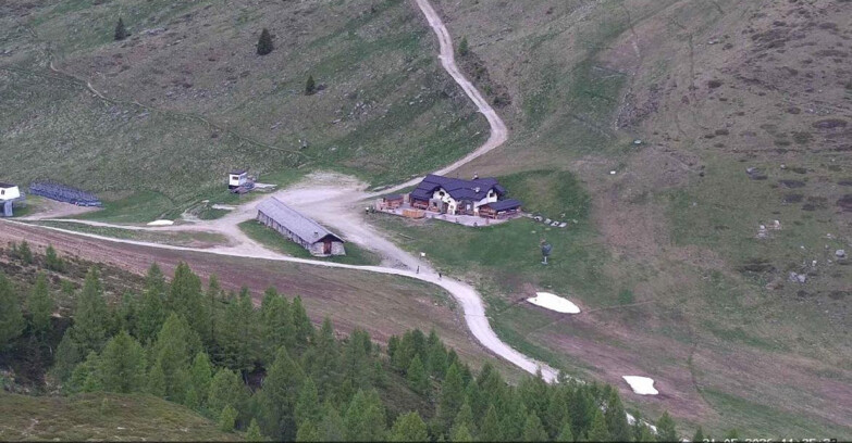 Webcam San Martino di Castrozza - Passo Rolle  - Malga Tognola