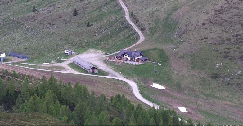 Webcam San Martino di Castrozza - Passo Rolle  - Malga Tognola