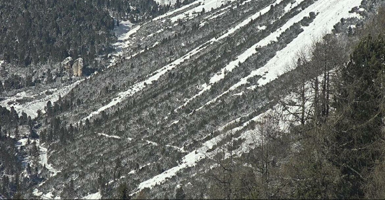 Webcam Vigo di Fassa-Pera-Ciampedìe - Vigo - Conca del Gardeccia