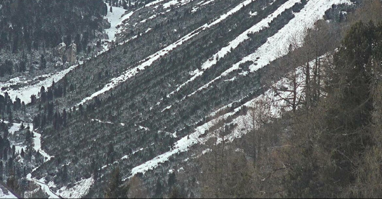 Webcam Vigo di Fassa-Pera-Ciampedìe - Vigo - Conca del Gardeccia