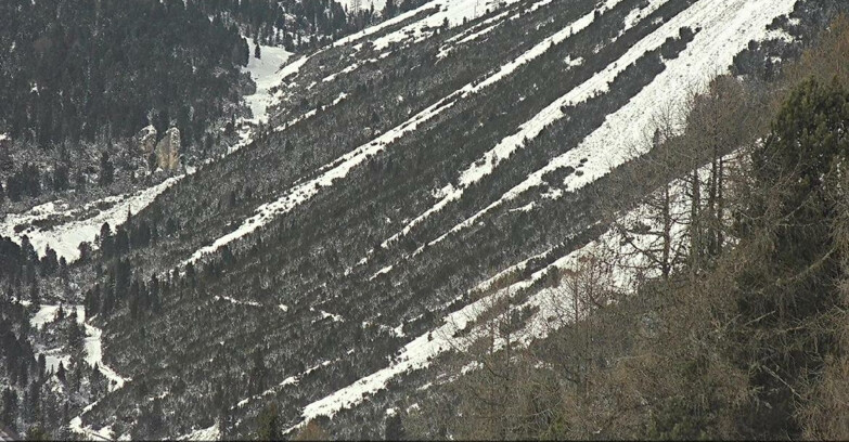 Webcam Vigo di Fassa-Pera-Ciampedìe - Vigo - Conca del Gardeccia