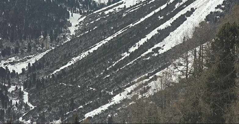 Webcam Vigo di Fassa-Pera-Ciampedìe - Vigo - Conca del Gardeccia