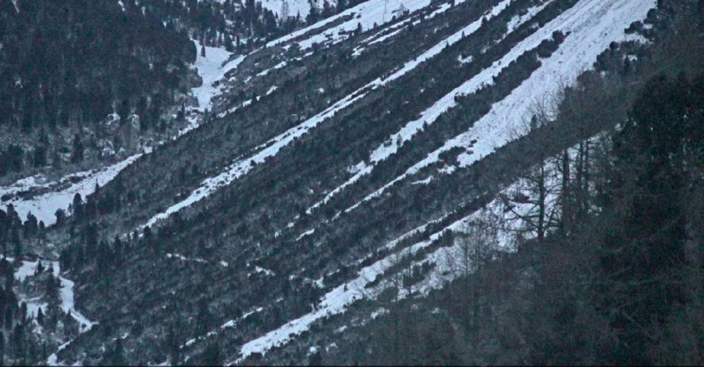 Webcam Vigo di Fassa-Pera-Ciampedìe - Vigo - Conca del Gardeccia