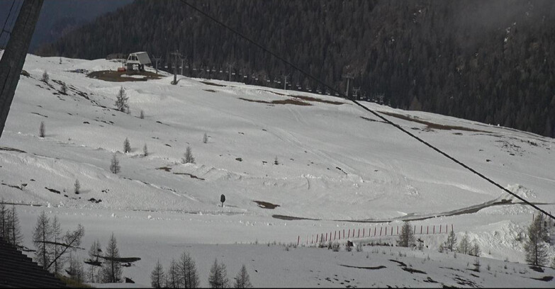 Webcam Сан-Мартино-ди-Кастроцца - Пассо-Ролле - Tognola - Rododendro