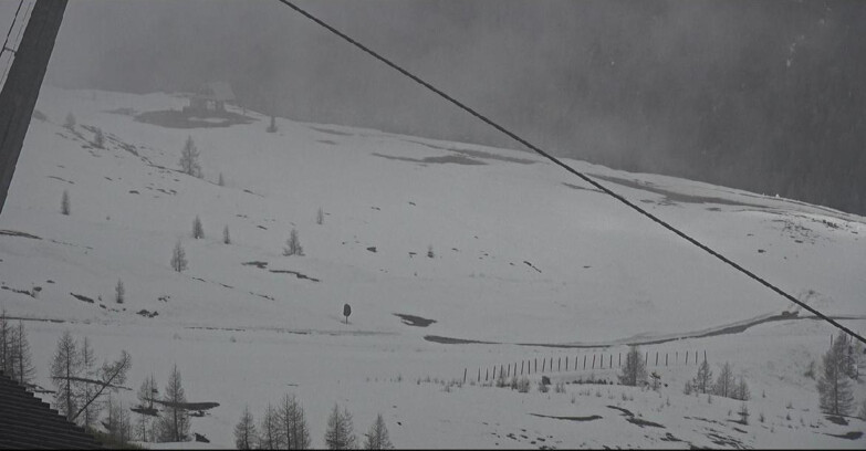 Webcam Сан-Мартино-ди-Кастроцца - Пассо-Ролле - Tognola - Rododendro