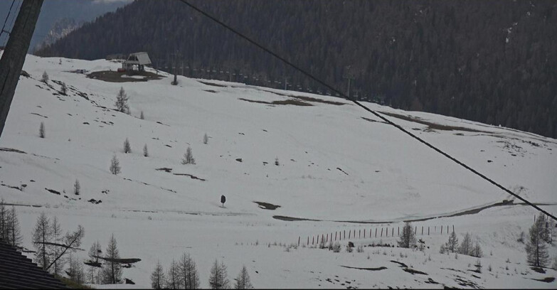 Webcam Сан-Мартино-ди-Кастроцца - Пассо-Ролле - Tognola - Rododendro