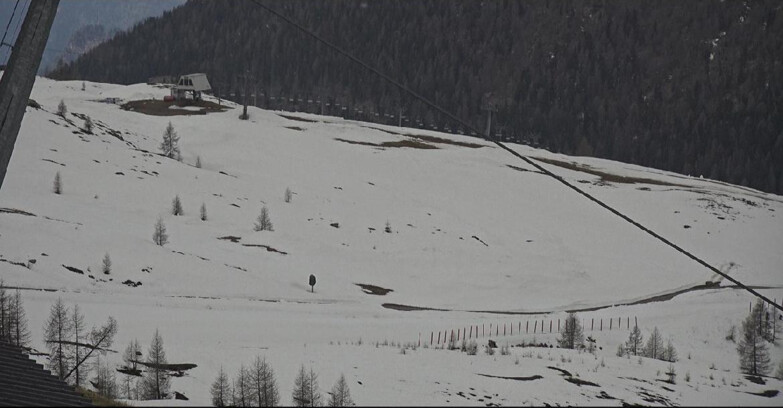 Webcam Сан-Мартино-ди-Кастроцца - Пассо-Ролле - Tognola - Rododendro