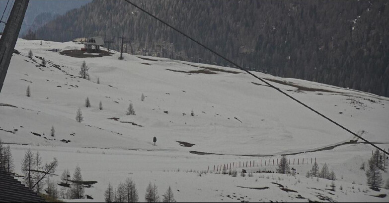 Webcam Сан-Мартино-ди-Кастроцца - Пассо-Ролле - Tognola - Rododendro