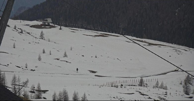 Webcam Сан-Мартино-ди-Кастроцца - Пассо-Ролле - Tognola - Rododendro