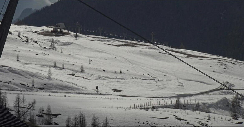 Webcam Сан-Мартино-ди-Кастроцца - Пассо-Ролле - Tognola - Rododendro