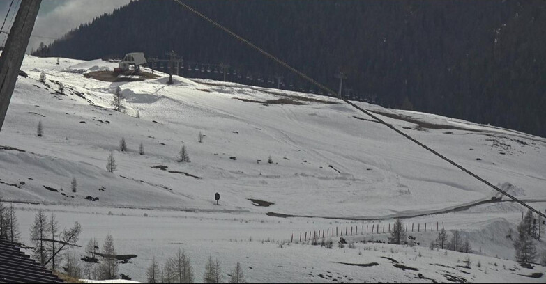 Webcam Сан-Мартино-ди-Кастроцца - Пассо-Ролле - Tognola - Rododendro