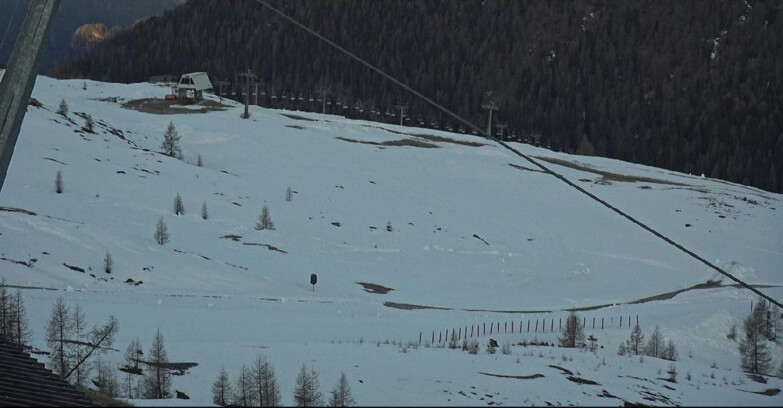 Webcam Сан-Мартино-ди-Кастроцца - Пассо-Ролле - Tognola - Rododendro