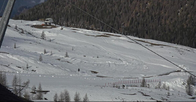 Webcam Сан-Мартино-ди-Кастроцца - Пассо-Ролле - Tognola - Rododendro