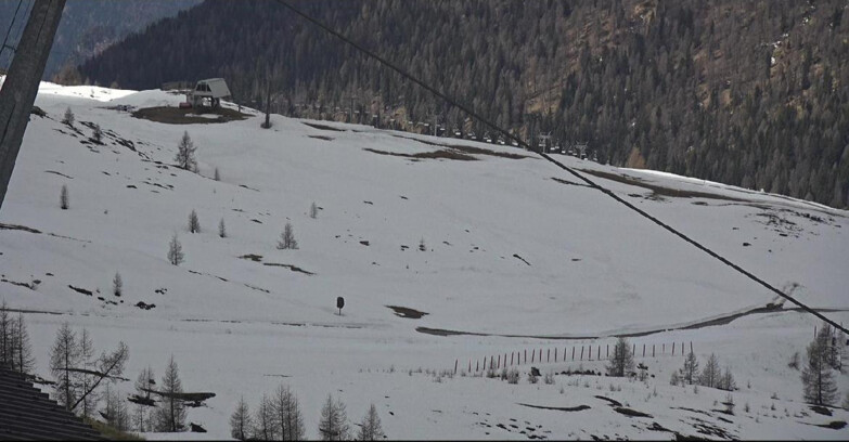 Webcam San Martino di Castrozza - Passo Rolle - Tognola - Rododendro