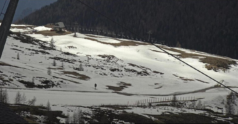 Webcam San Martino di Castrozza - Passo Rolle  - Tognola - Rododendro