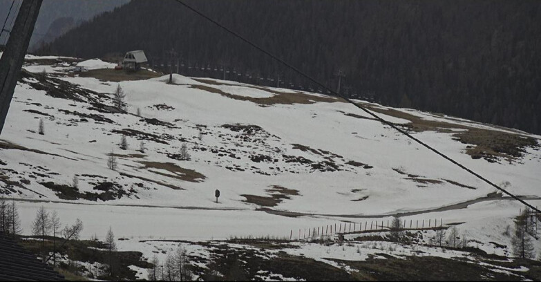 Webcam San Martino di Castrozza - Passo Rolle  - Tognola - Rododendro