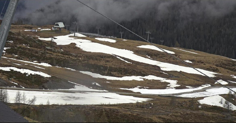 Webcam Сан-Мартино-ди-Кастроцца - Пассо-Ролле - Tognola - Rododendro