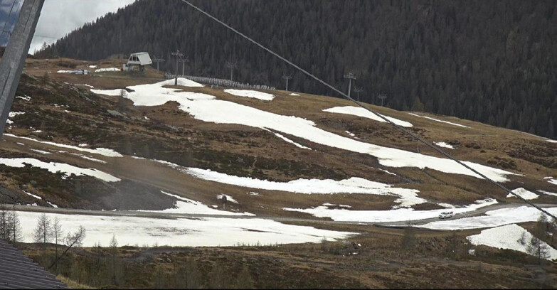 Webcam Сан-Мартино-ди-Кастроцца - Пассо-Ролле - Tognola - Rododendro