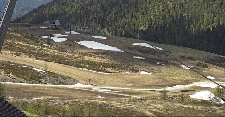 Webcam San Martino di Castrozza - Passo Rolle - Tognola - Rododendro