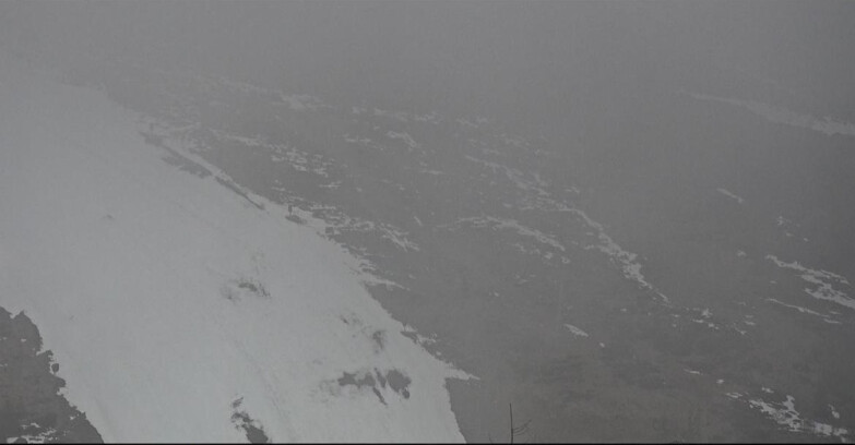 Webcam Сан-Мартино-ди-Кастроцца - Пассо-Ролле - Tognola - Pista Cigolera