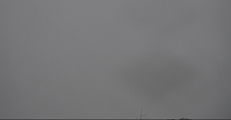 Webcam San Martino di Castrozza - Passo Rolle - Tognola - Pista Cigolera