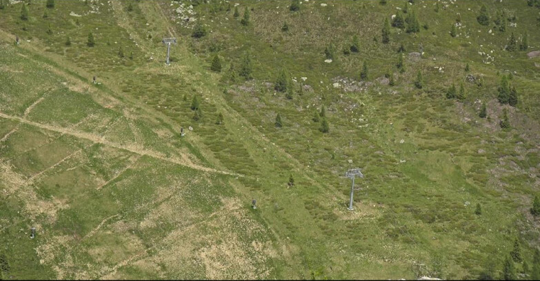 Webcam San Martino di Castrozza - Passo Rolle - Tognola - Pista Cigolera