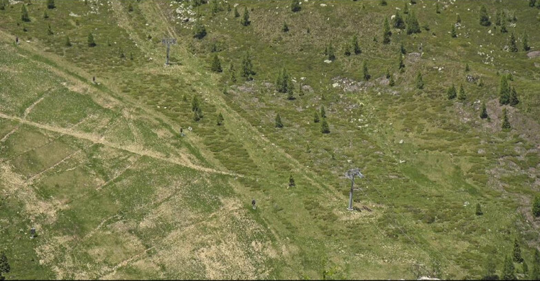 Webcam San Martino di Castrozza - Passo Rolle - Tognola - Pista Cigolera