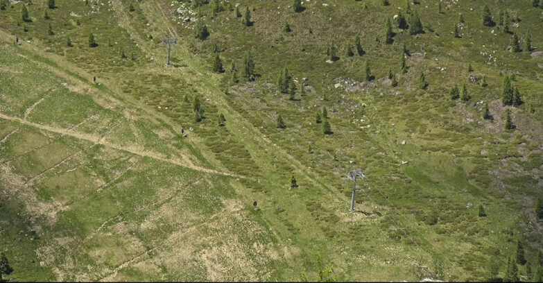 Webcam San Martino di Castrozza - Passo Rolle - Tognola - Pista Cigolera