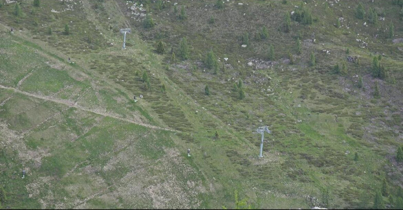 Webcam San Martino di Castrozza - Passo Rolle - Tognola - Pista Cigolera