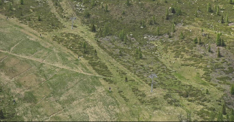 Webcam San Martino di Castrozza - Passo Rolle - Tognola - Pista Cigolera