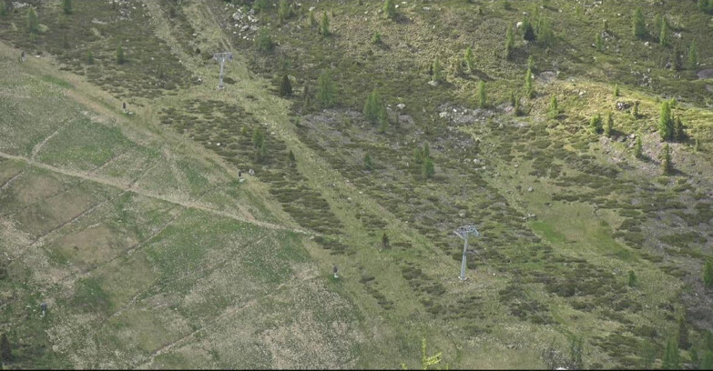 Webcam San Martino di Castrozza - Passo Rolle - Tognola - Pista Cigolera